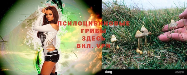 ALPHA PVP Абинск