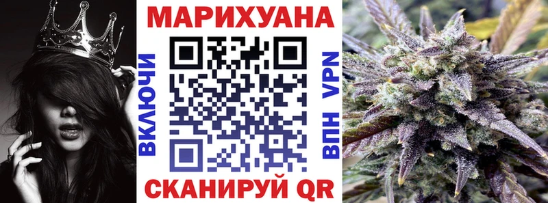 Канабис планчик Донской
