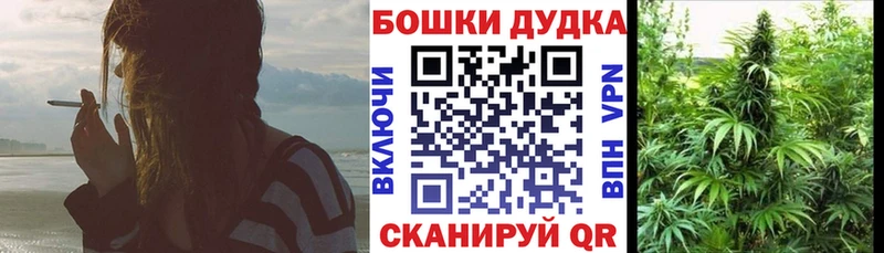 Канабис OG Kush  Донской 